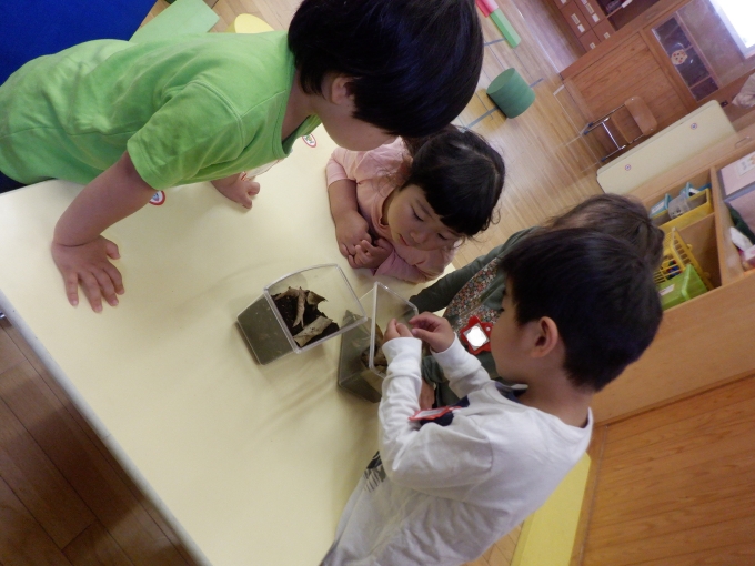 津久戸幼稚園のお知らせ画像1