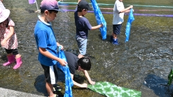 絞り染めを川で洗う子ども