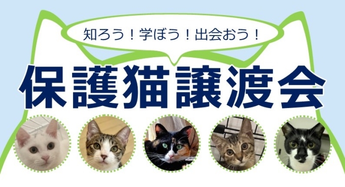 知ろう!学ぼう!出会おう! 保護猫譲渡会画像1
