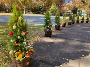 みどりの講座画像1