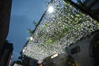 令和8年2月28日まで点灯 区役所通りイルミネーション