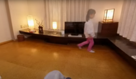 まぼろしが見える方の視界（VR体験)