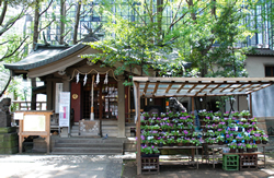 写真：稲荷鬼王神社の全景