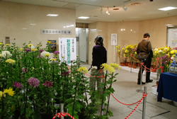 写真:第1分庁舎地下2階ロビーの盆養
