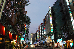 写真:イルミネーションを路上で見る