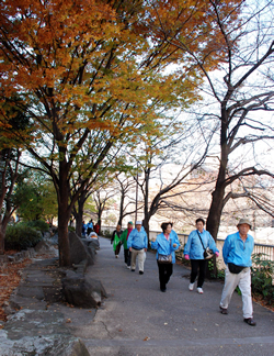 写真：紅葉が始まった遊歩道を歩く