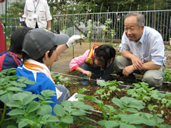 写真：収穫作業をする子どもたち