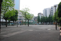写真:現在の区立大久保公園