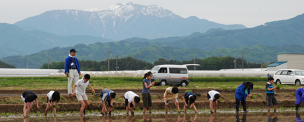 写真：田植えをする生徒たち
