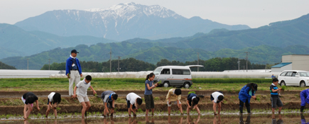 写真:田植えをする生徒たち