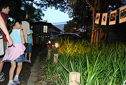 写真:公園内のコースを歩く参加者
