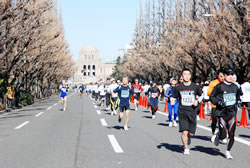 写真:外苑のイチョウ並木を疾走