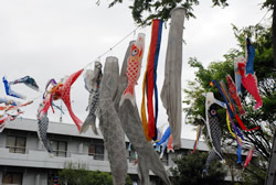 写真:大正時代のこいのぼり