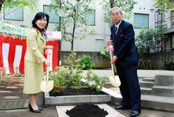 写真:植樹する中山区長と安楽岡(やすらおか)館林市長