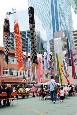 写真:校庭にはたくさんのこいのぼりが泳ぐ