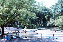 写真:新宿中央公園のジャブジャブ池