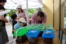 写真：カブトムシの幼虫が入った飼育箱をのぞきこむ親子連れ