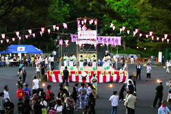 写真：盆踊り大会に参加する人々