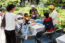 写真：新宿中央公園夏まつり2007