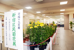 写真:ロビーに飾られた菊と新宿区民菊花展の看板
