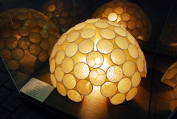 写真:並んだアート作品