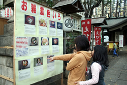 写真:展示されている写真を見る人