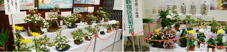 写真:本庁舎3階の福助と盆栽