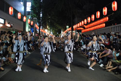 写真:阿波踊り