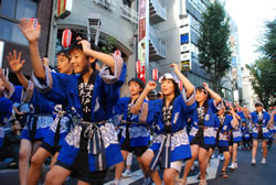 写真:阿波踊り