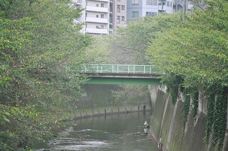 画像は神田川（三島橋）