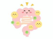 �����u�K��+�{���摜