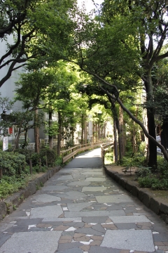 新宿遊歩道公園の写真
