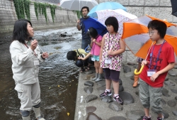 写真:神田川の水質調査