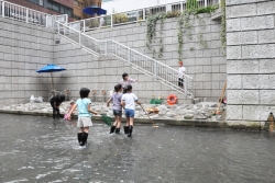 写真：神田川親水テラス（昨年の様子）