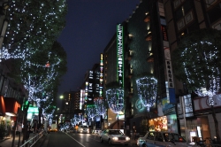写真：冬の歌舞伎町を彩るイルミネーション