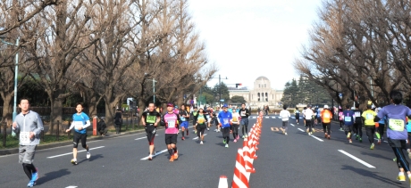 写真:外苑イチョウ並木