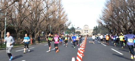 写真：外苑イチョウ並木