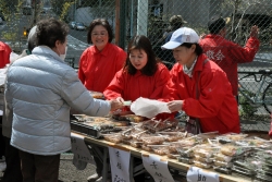 写真:神田川・早稲田さくらまつり