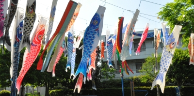 画像:色とりどりのこいのぼり