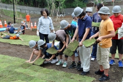写真:1人5枚の芝を張った6年生