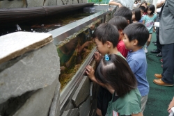 写真：水槽をのぞき込む子どもたち