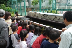 写真：水槽をのぞき込む子どもたち