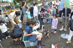写真:ふれあい動物園