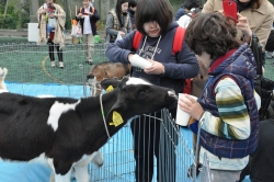 写真:ふれあい動物園