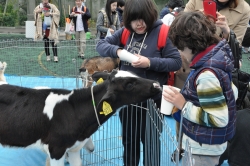 写真：ふれあい動物園