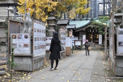 写真:境内の様子2