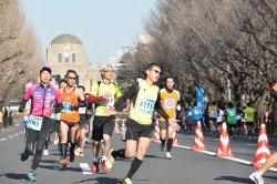 写真:イチョウ並木