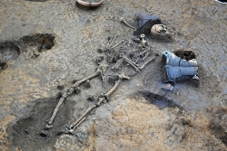 写真：縄文時代中期の人骨の出土状況