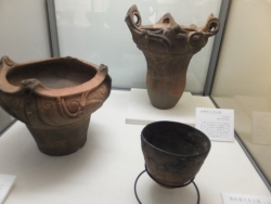 写真:特別展の展示