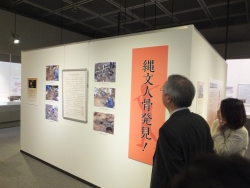 写真:特別展の様子